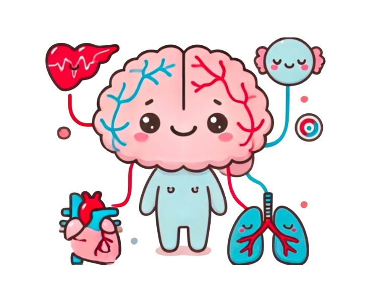 自律神経をイメージした画像。