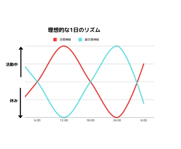 自律神経の理想のリズムについての画像。