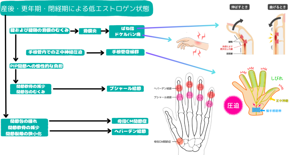刈谷市で女性ホルモン変動による症状について説明している画像。